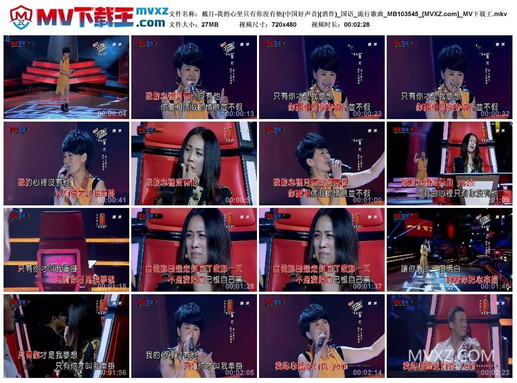 戴月-我的心里只有你没有他(中国好声音)(消伴)_国语_流行歌曲_MB103545